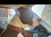 Rehoming