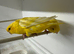 True pair lineolated parakeets ( rare )