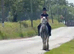 15hh | 5-Year-Old Cob Gelding