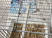 Carry/mule cage