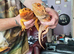 Male and female bearded dragons for sale