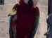 Beautiful 4 year old greenwing macaw looking for a loving home