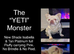 French bulldog full fluffy boy for sale