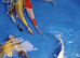 High Grade koi from &pound;5 Each