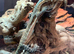 Kimberley rock monitor