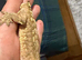 Male crested gecko