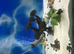 tropical fish,tank fish 185L
