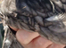 2 x bantam punnets