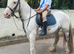 Kind 12hh Blue & White 4yo Cob Riding Mare