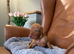 LAST 3 KC Registered Hungarian Vizsla Puppies 0.9% COI 5 Generation