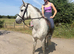 Bella 147cm 8yo Connie N/HW
