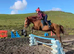 Equine freelance groom