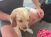 1 boy puppy