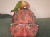 Peach green cheek Conures