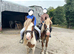 12.2 cob gelding