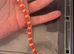 corn snakes