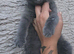 Bsh x rag doll ready to go