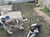 Beautiful Siberian Huskies for Sale &ndash; Well Trained, Friendly & Fully Documented