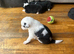 Border collie pups
