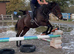 Tia TB 15.2 10yrs mother daughter share happy hacker fun jumping mare
