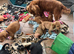 Stunning show type cocker spaniel puppies