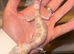 Female Mack Snow Tangerine Tremper