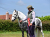 12.2 ride & drive mare