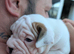 French bulldog big ropes