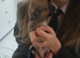 Chihuahua x puppies