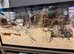 Hamster and enclosure