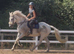 Clover - A Real Unicorn