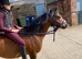 Poppy the Pocket Rocket