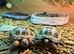 Horsfields Tortoises at Birmingham Reptiles