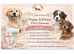 Luxury Pet Services and Grooming