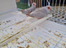 Diamond doves