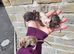 Long hair fancy mice