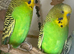 Lovely pair