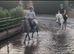 13hh pony club, happy hacker, whp
