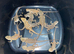 Bearded dragons