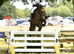 15.2hh 9-Year-Old Mare &ndash; Genuine Novice Event Horse