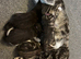 Kittens for sale