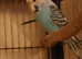 1 pair of budgies left