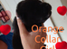 6 KC Registered Chow Chow Puppies