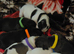 French Bulldog x puppies for sale