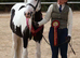 Oozing potential family cob