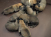 Belgium Malinois puppies