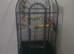 Popular Liberta open-top parrot cages available in the UK include the medium-sized Liberta Voyager Open Top Parrot Cage and the larger Liberta Enterpr