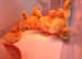 Aylesbury / White Campbell 'Puddle Duck ' hatching eggs - Extra Large Eggs (LAY ALL YEAR)