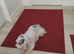 Doxiepoo