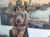 Miniature dachshunds